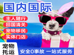 无锡硕放空运国际宠物托运 【国